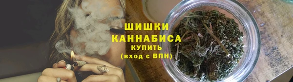 дурь Инсар