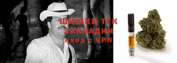 дурь Инсар