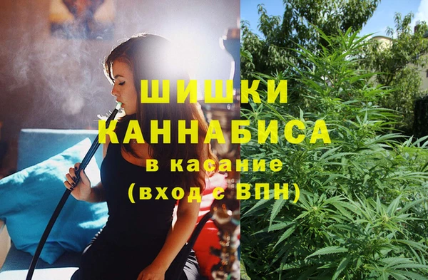 дурь Инсар