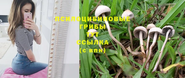 кокаин перу Иннополис