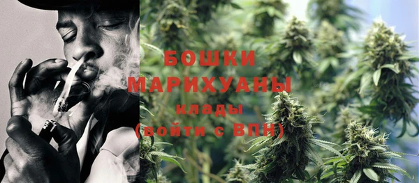 дурь Инсар