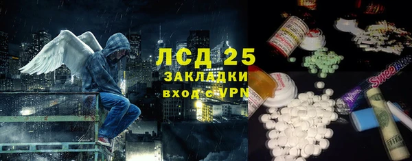 дурь Инсар