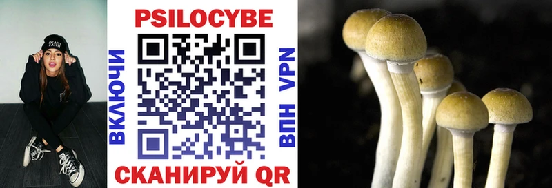 Купить где Усть-Лабинск Галлюциногенные грибы мухоморы